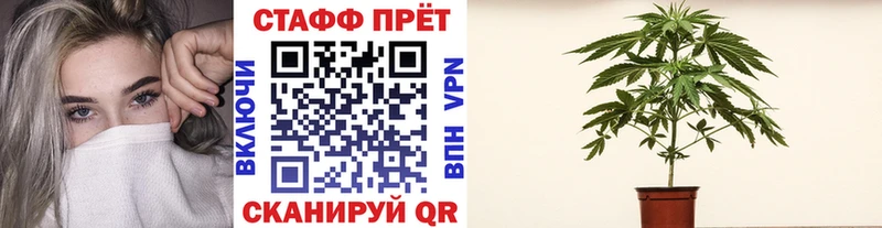 Купить наркотик Козельск blacksprut маркетплейс  Меф  Псилоцибиновые грибы  ГАШ  СОЛЬ  Канабис 