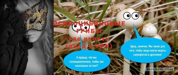 амф Балахна