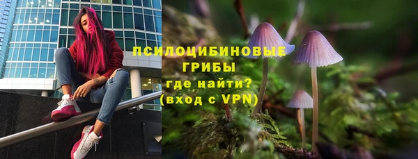 амф Балахна