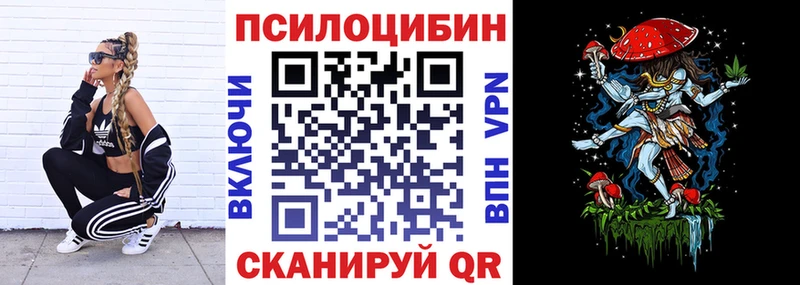 наркота Козельск Галлюциногенные грибы мицелий